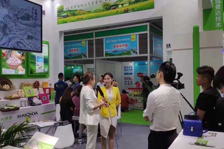 mg不朽情缘(中国游)官方网站