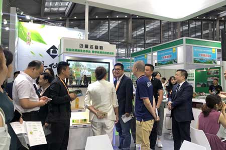 mg不朽情缘(中国游)官方网站